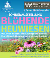 Bluehende Heuwiese-Ankuendigung Sonderausstellung